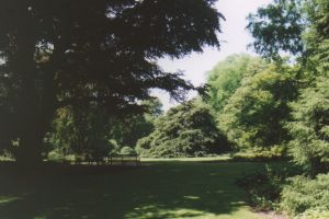 Natur pur im Botanischen Garten in Braunschweig